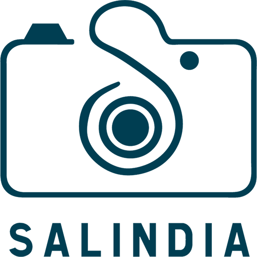 Salindia - Partner